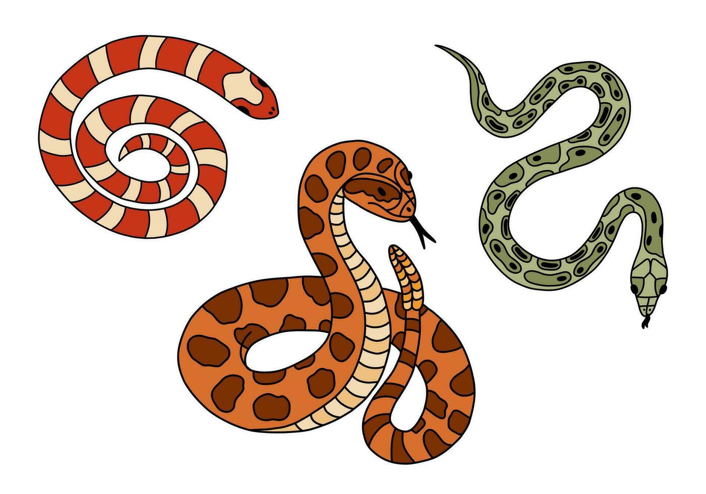 uppsättning av annorlunda ormar med hand dragen översikt. vektor samling av elapidae, pytonorm, skallerorm. tropisk eller vild väst förgifta huggorm. vektor vilda djur och växter begrepp. farlig orm i verkan