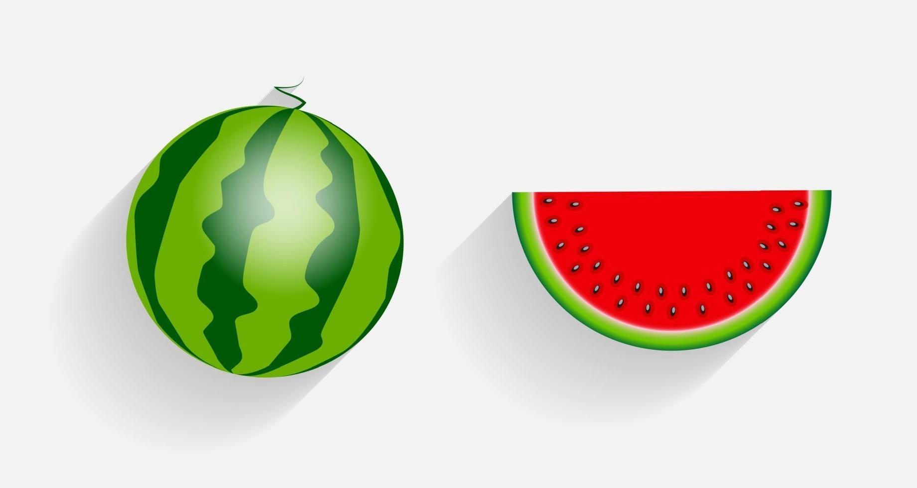 Wassermelonensymbole mit langen Schattenvektorillustrationen vektor