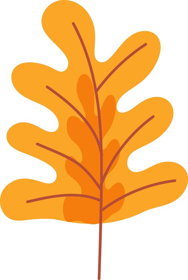 lönn torkad orange blad trädgård eko natur vektor