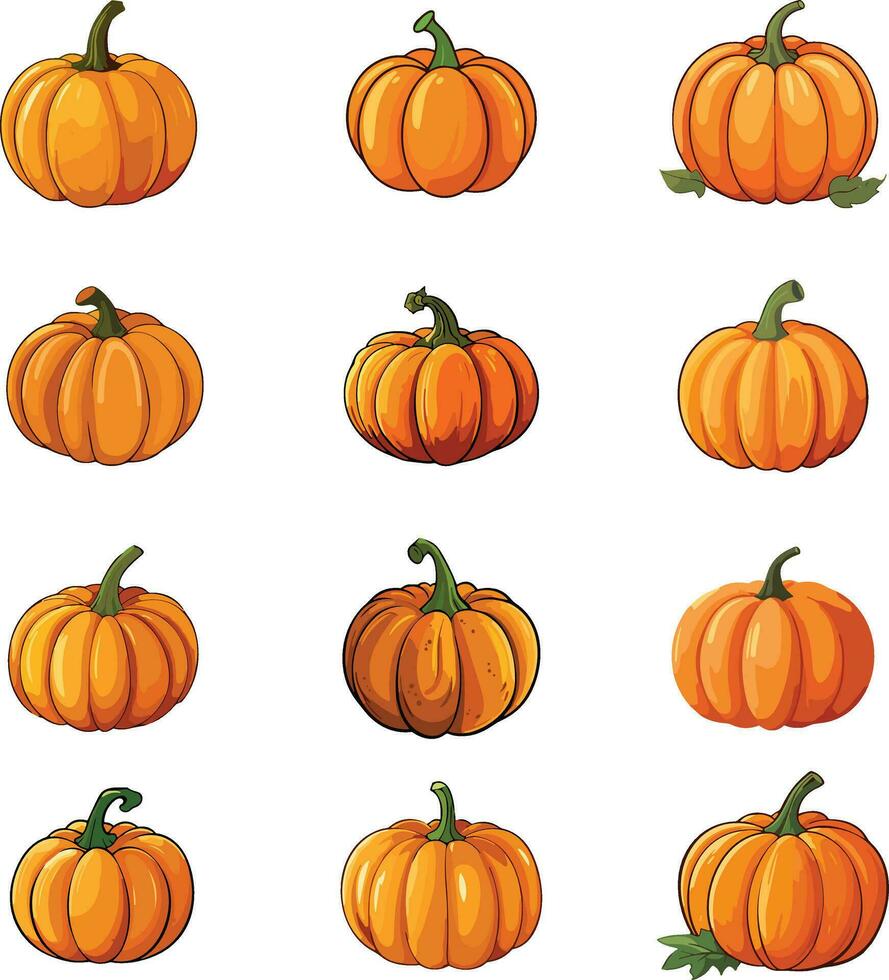 ein Array von 12 Vektor illustriert, Orange Kürbisse von verschiedene Größen und Formen auf ein Weiß Hintergrund.