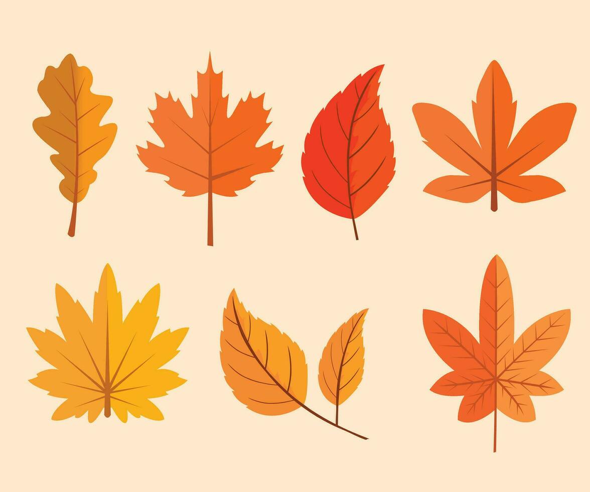 Erfassen das Wesen von Herbst erkunden unser Herrlich fallen Blatt Sammlung vektor