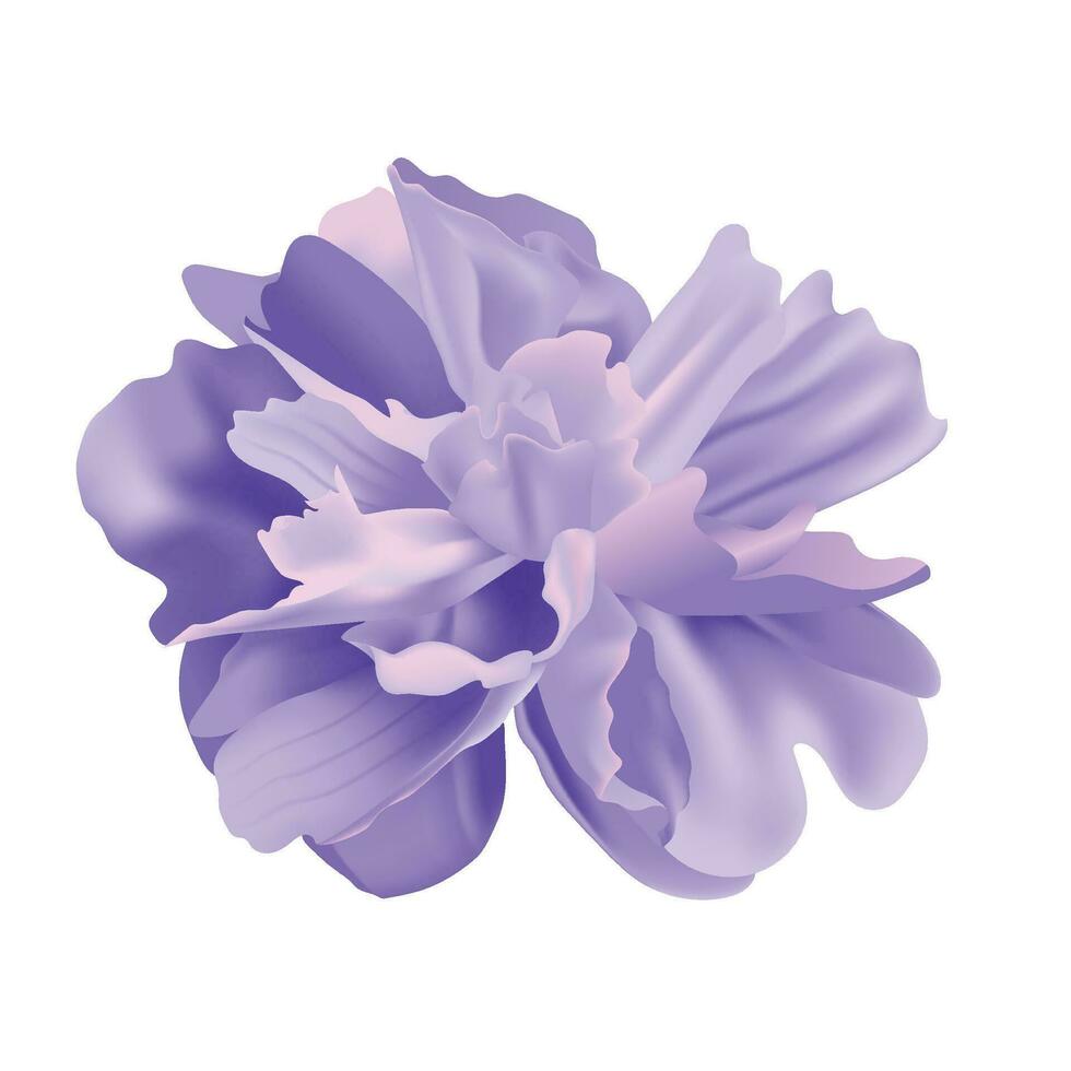 Vektor Blumen- auf Weiß Hintergrund Design