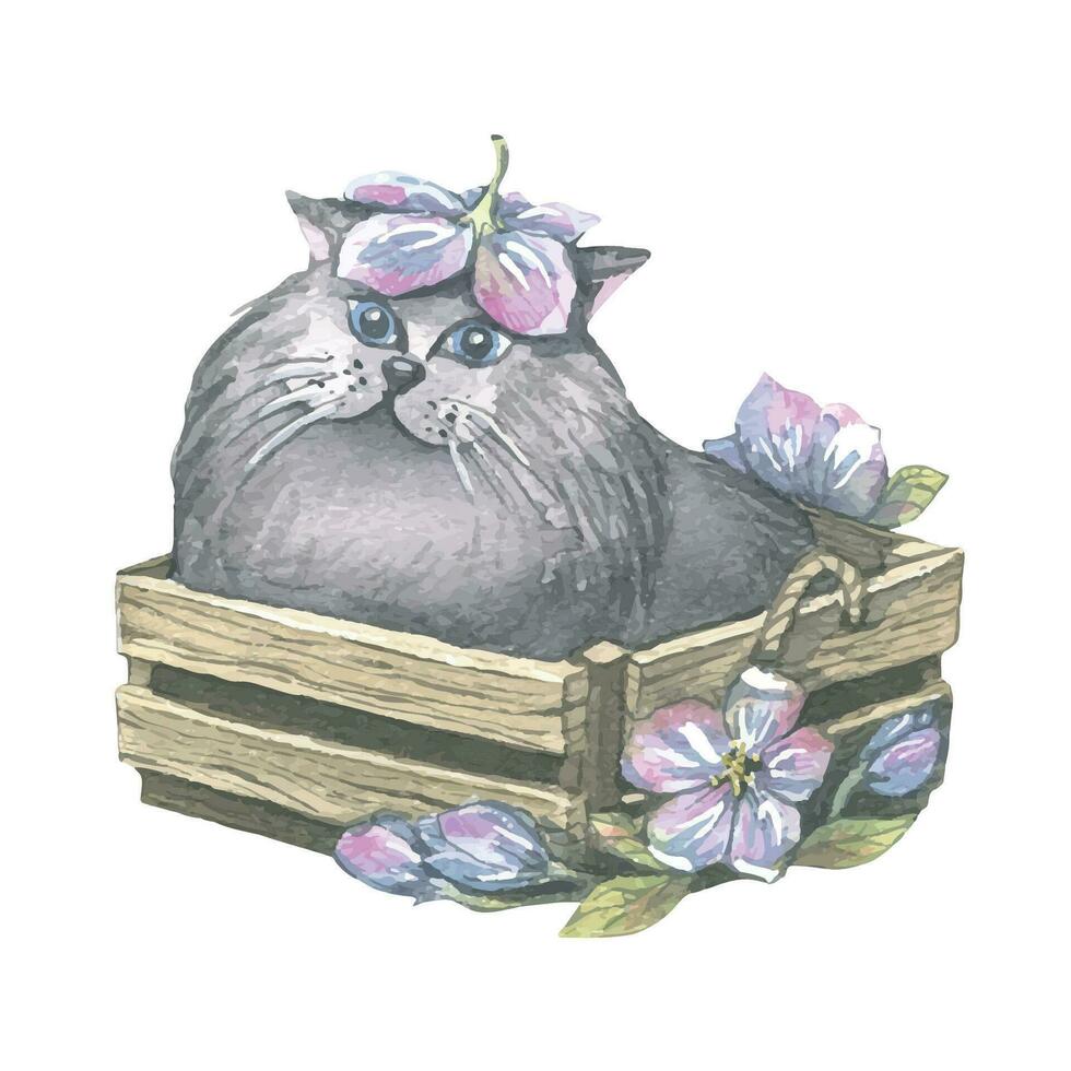 Aquarell Illustration von ein süß grau Katze im ein hölzern Box mit Blumen. luftig, Licht, sanft, fliegend. zum Banner Design, Postkarten, Kleidung, Design, Poster, Hintergrund. vektor