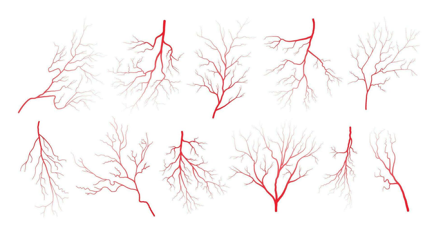 mänsklig öga blod vener fartyg silhuetter vektor illustration uppsättning isolerat på vit bakgrund.