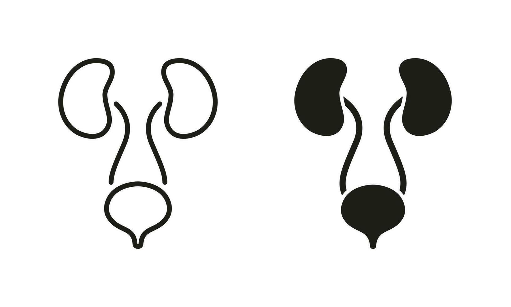 Mensch Urin- System Linie und Silhouette Symbol Satz. gesund intern Organe, Gesundheit Blase und Niere Symbol Sammlung auf Weiß Hintergrund. Urologie Krankheit Piktogramm. isoliert Vektor Illustration.