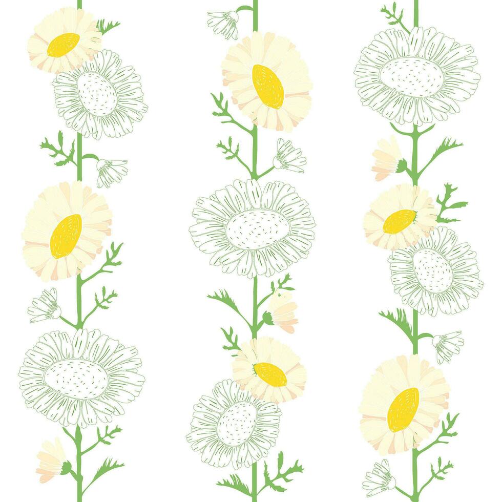 sömlös blommig mönster av vit daisy och grön löv vektor