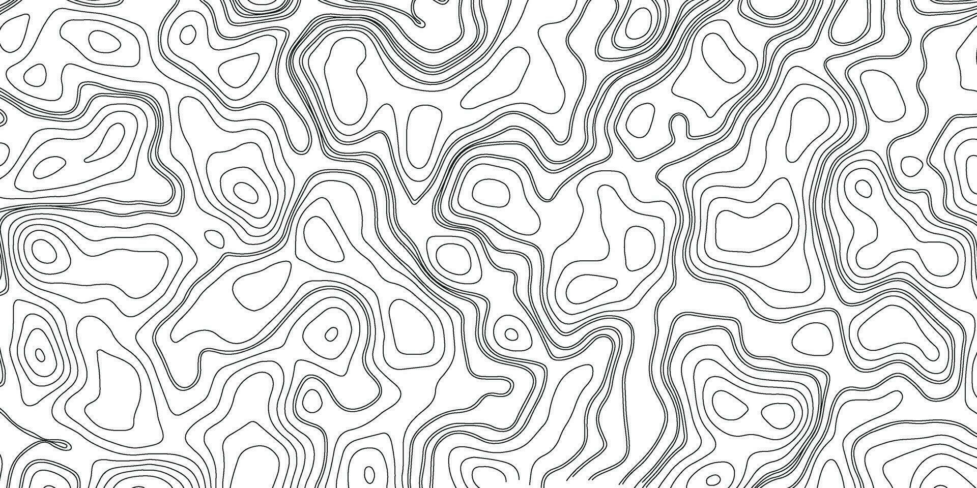 topografisch Hintergrund. schwarz topografisch mit Weiß Hintergrund. Topographie Karte vektor