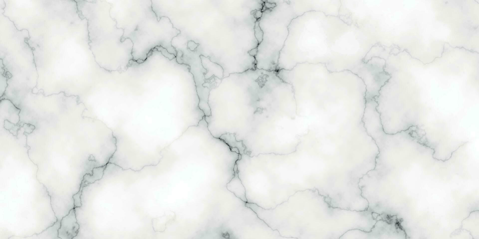 vit marmor textur bakgrund. svart och vit marmor texturerat. vit bakgrund marmor vägg textur. panorama- vit bakgrund. vit carrara marmor sten textur vektor
