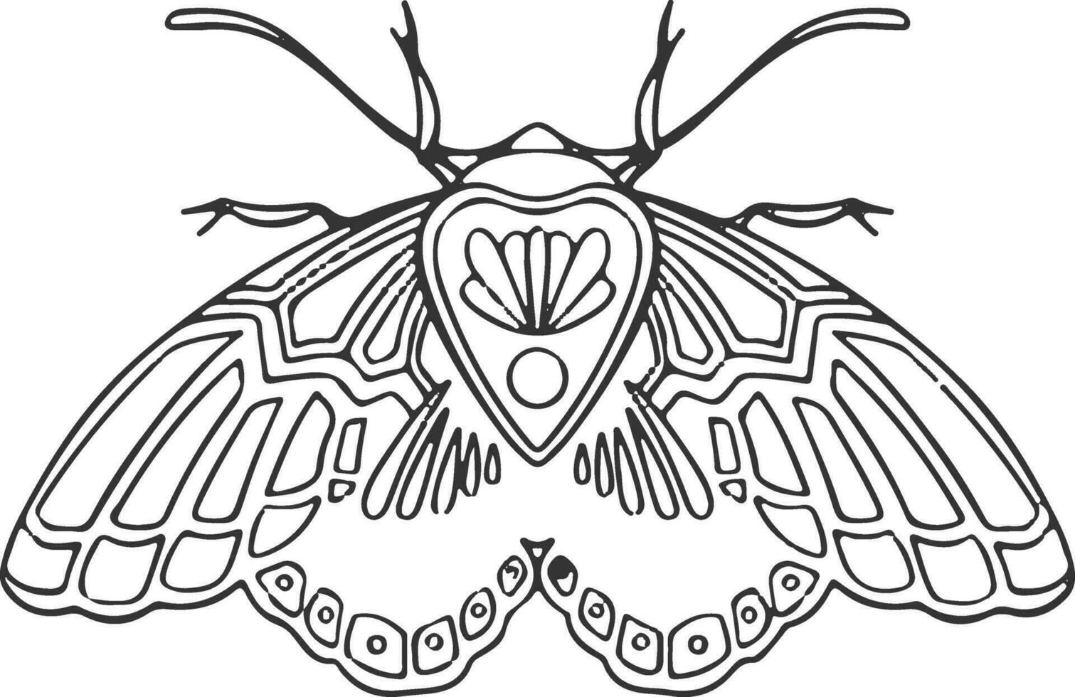 dünn linear Schmetterling einfarbig Illustration vektor