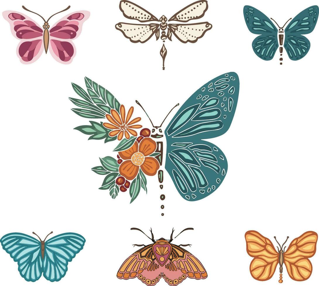 einstellen von anders Frühling Solar- Schmetterlinge Motte, Vektor Illustration