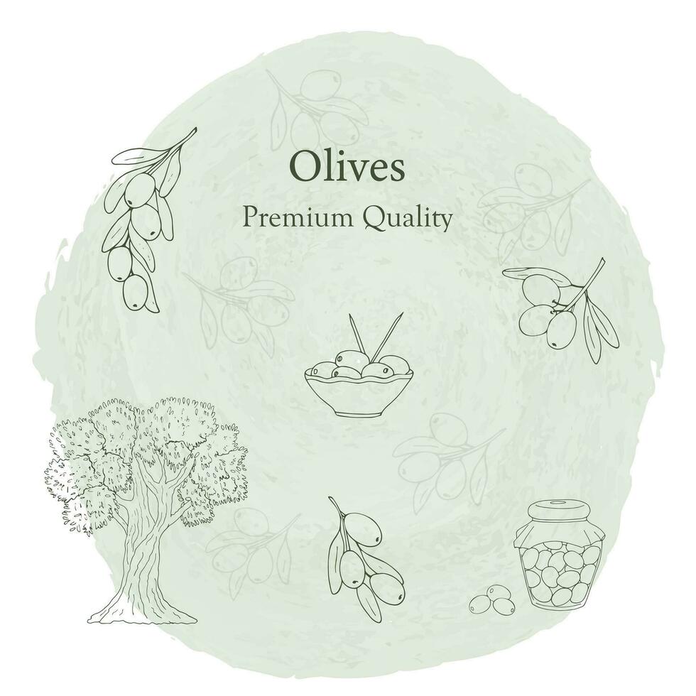 oliv grenar bakgrund, oliv träd, gren, oliv i burk och i tallrik på grå bakgrund.oliv preniun kvalitet. isolerat vektor illustration