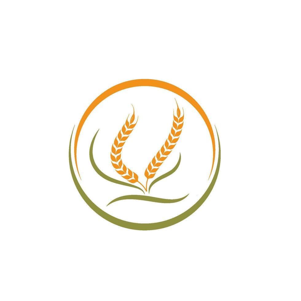 Landwirtschaft Weizen Vektor Symbol Illustration Design