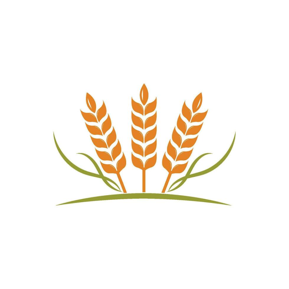 Landwirtschaft Weizen Vektor Symbol Illustration Design