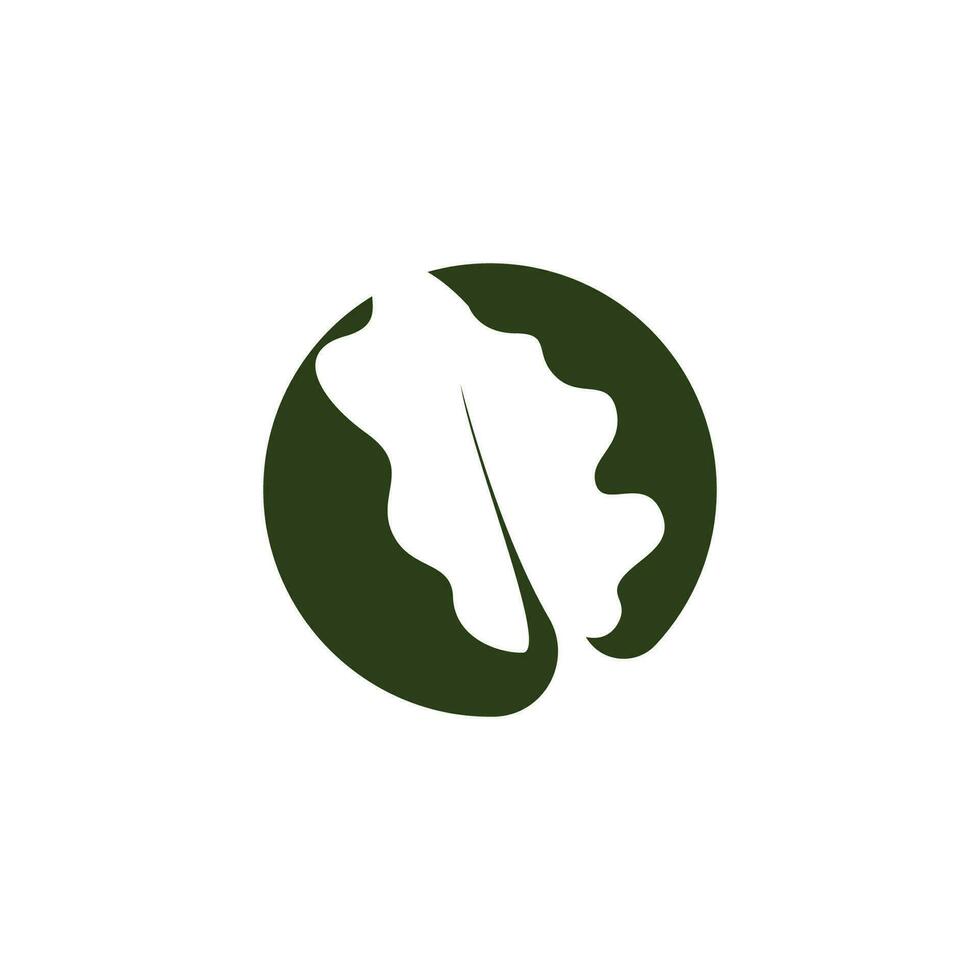 ek blad logotyp design, enkel grön växt vektor, mall illustration vektor