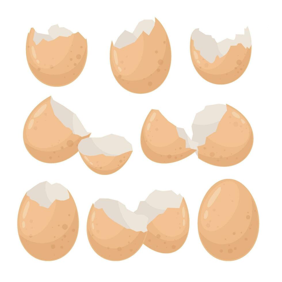 Eierschale Symbole Satz. Bauernhof Hähnchen Eier sind gebrochen. gebrochen Eier mit Stücke von Eierschale. gebrochen fragil Ei im Inkubator Vektor Satz. geteilt Schale mit Müll, kulinarisch Zutat.