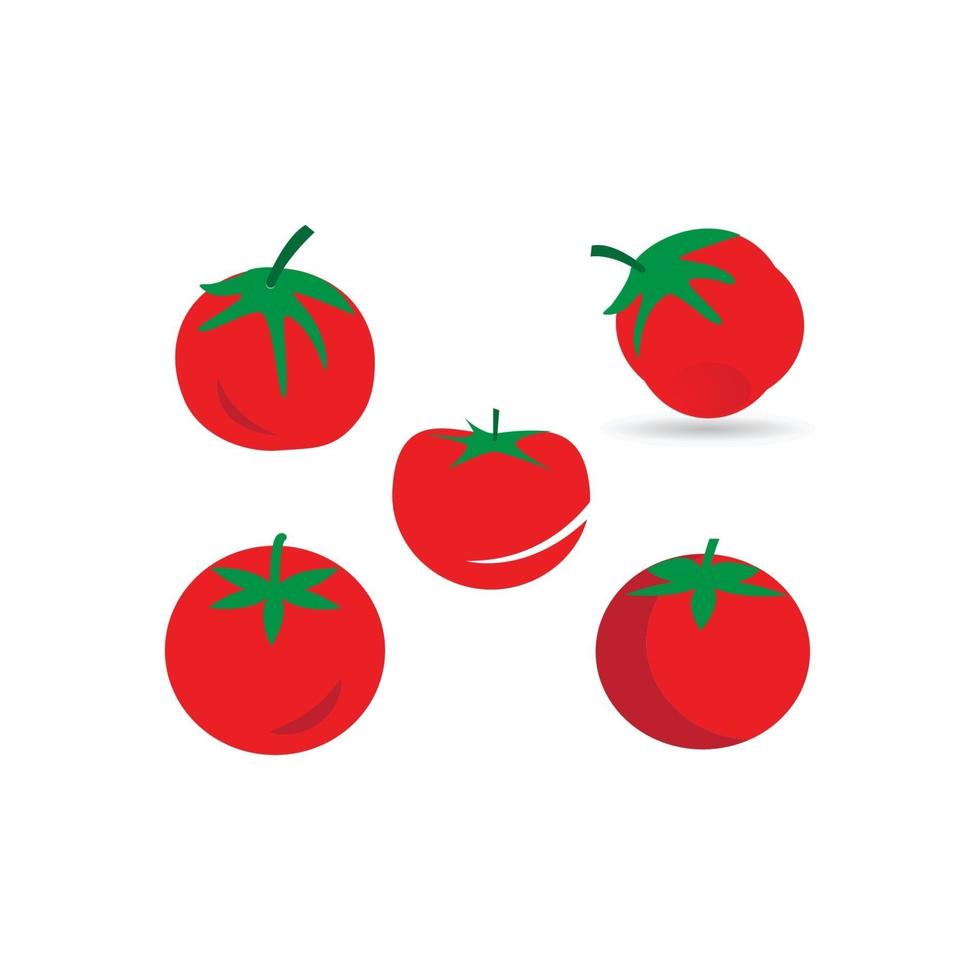 tomatvektorillustration vektor