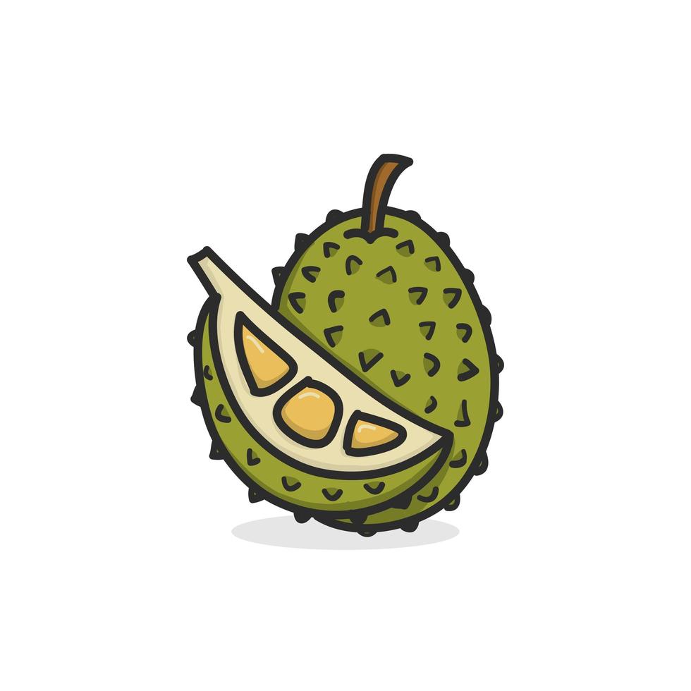 durian handritad illustration platt färg vektor