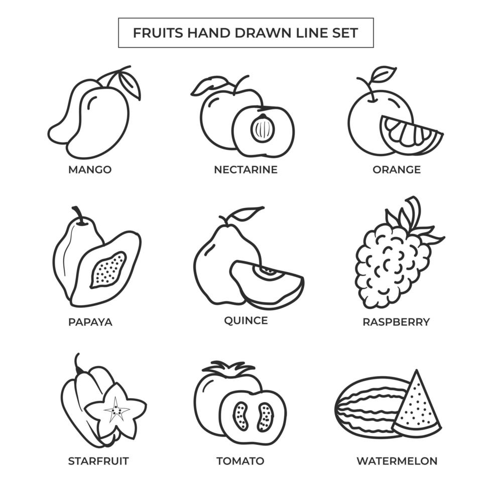 handritad frukt med konturteckningar setfruits handritad med konturteckningar vektor