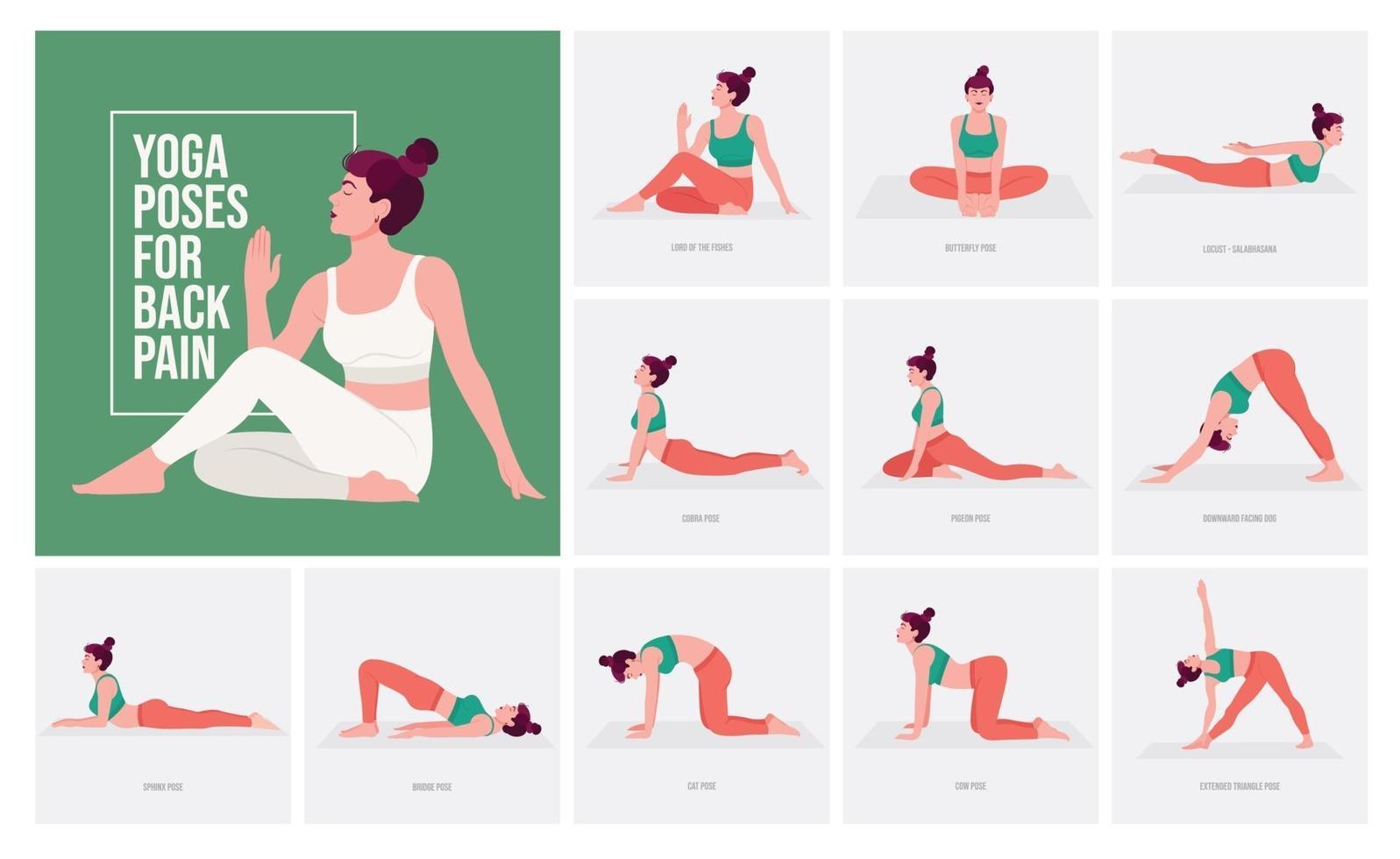 yogaställningar för ryggont. kvinna som övar yogaställningar. vektor