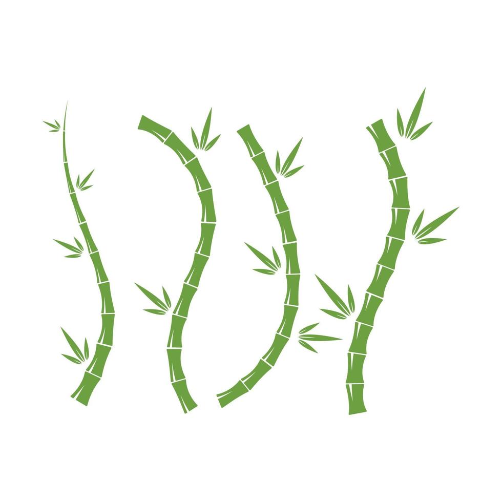 Bambus mit grünem Blatt für Ihren Logo-Icon-Vektor vektor