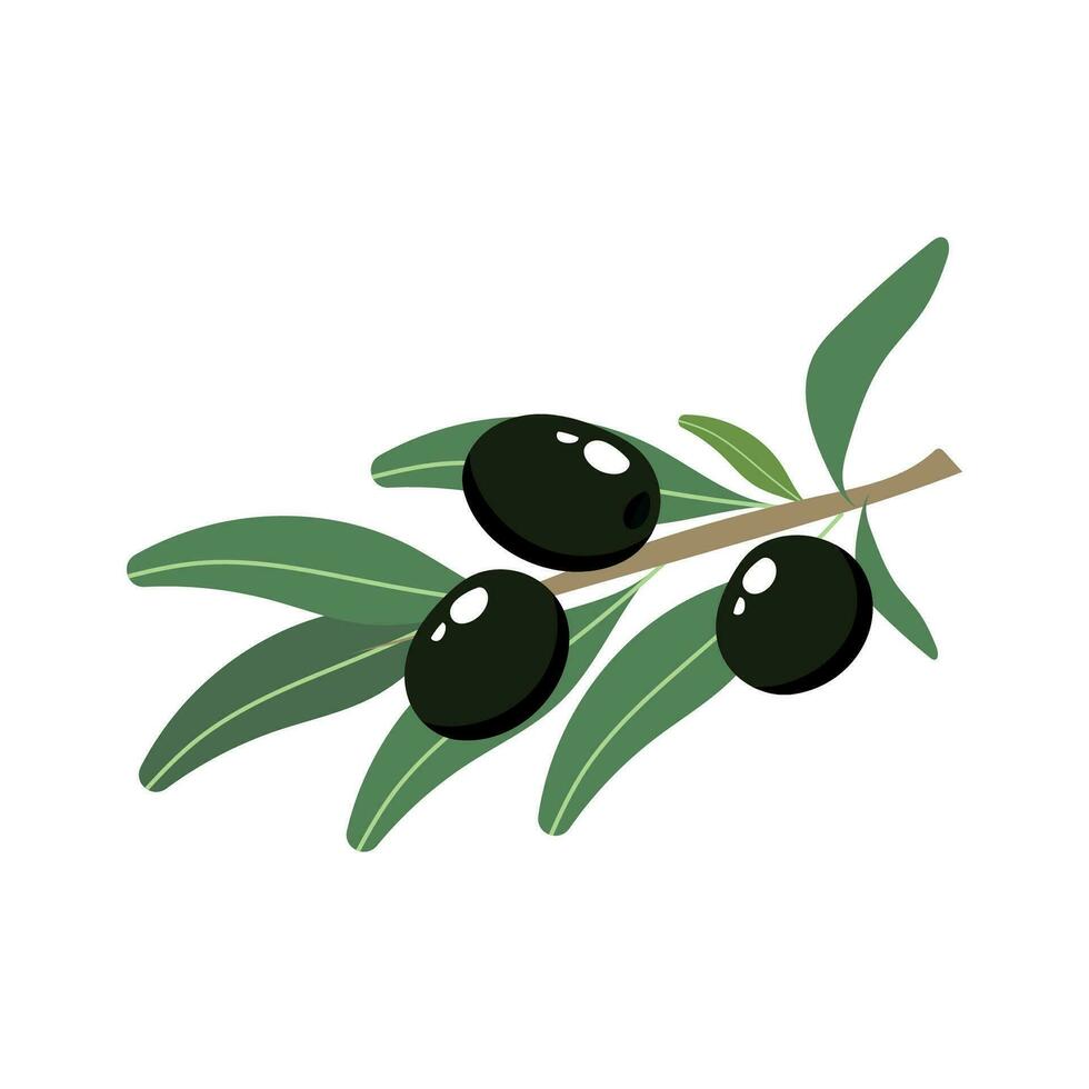 oliv hand dragen gren med grön oliver isolerat på vit bakgrund. vektor illustration