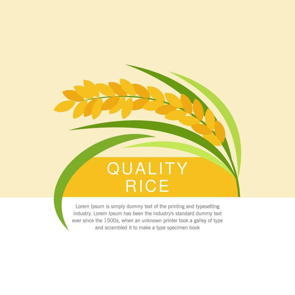 schön Reis Paddy Vektor Design