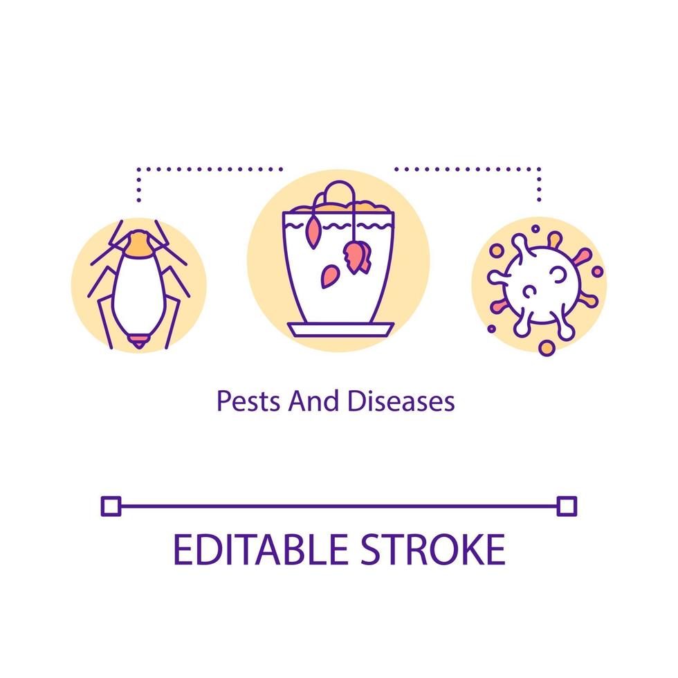 krukväxt skadedjur och sjukdomar koncept ikon vektor