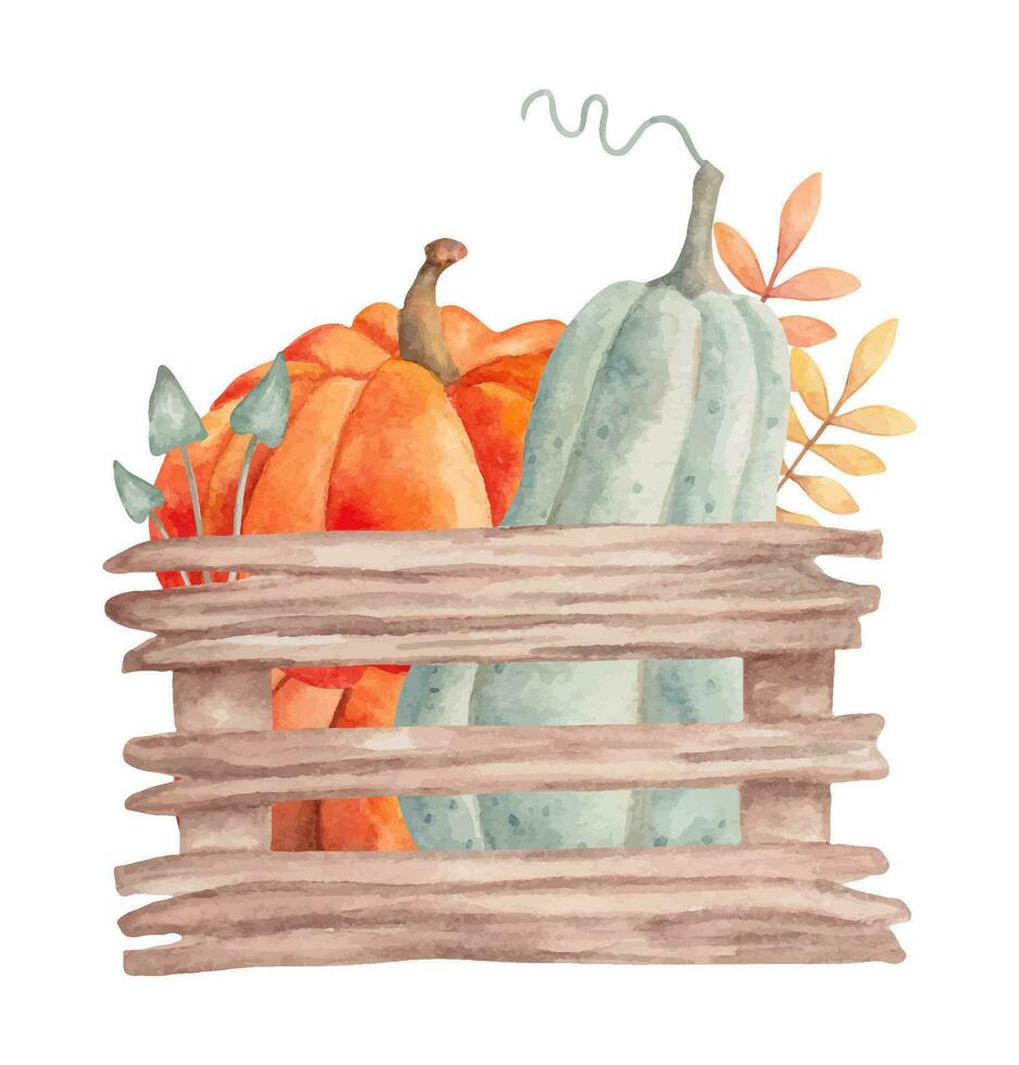 hölzern Box mit Kürbisse, Blätter und Pilze.Garten Herbst Komposition zum saisonal Feiertage.Thanksgiving,Ernte.Aquarell Illustration.handgemacht isoliert Kunst. vektor