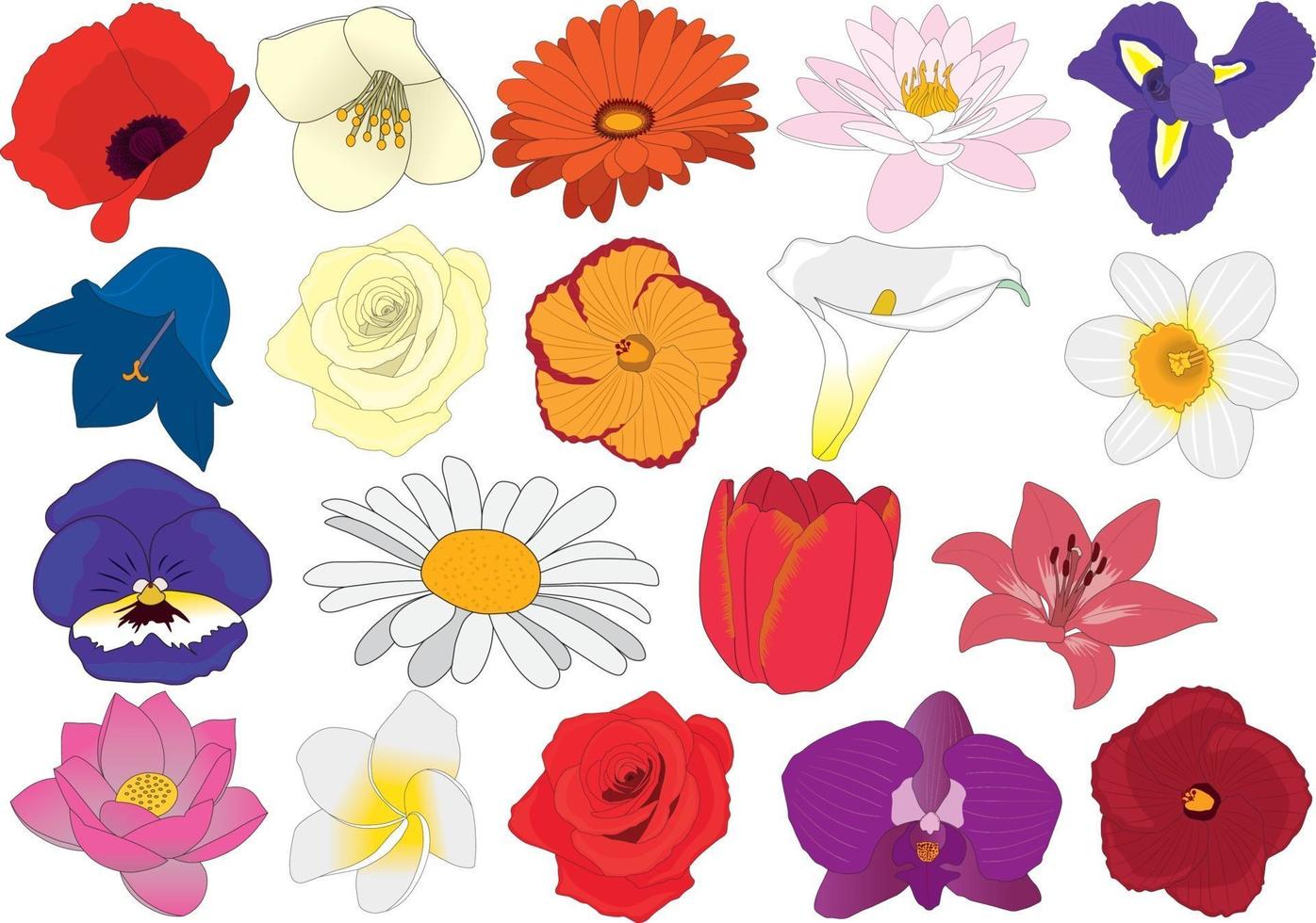 blommor blomma samling vektor illustration