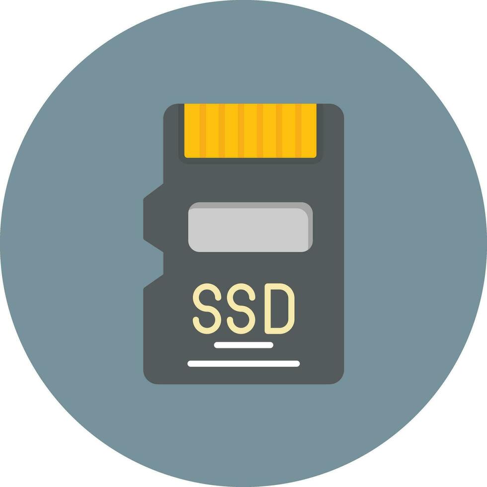 sSD kort vektor ikon
