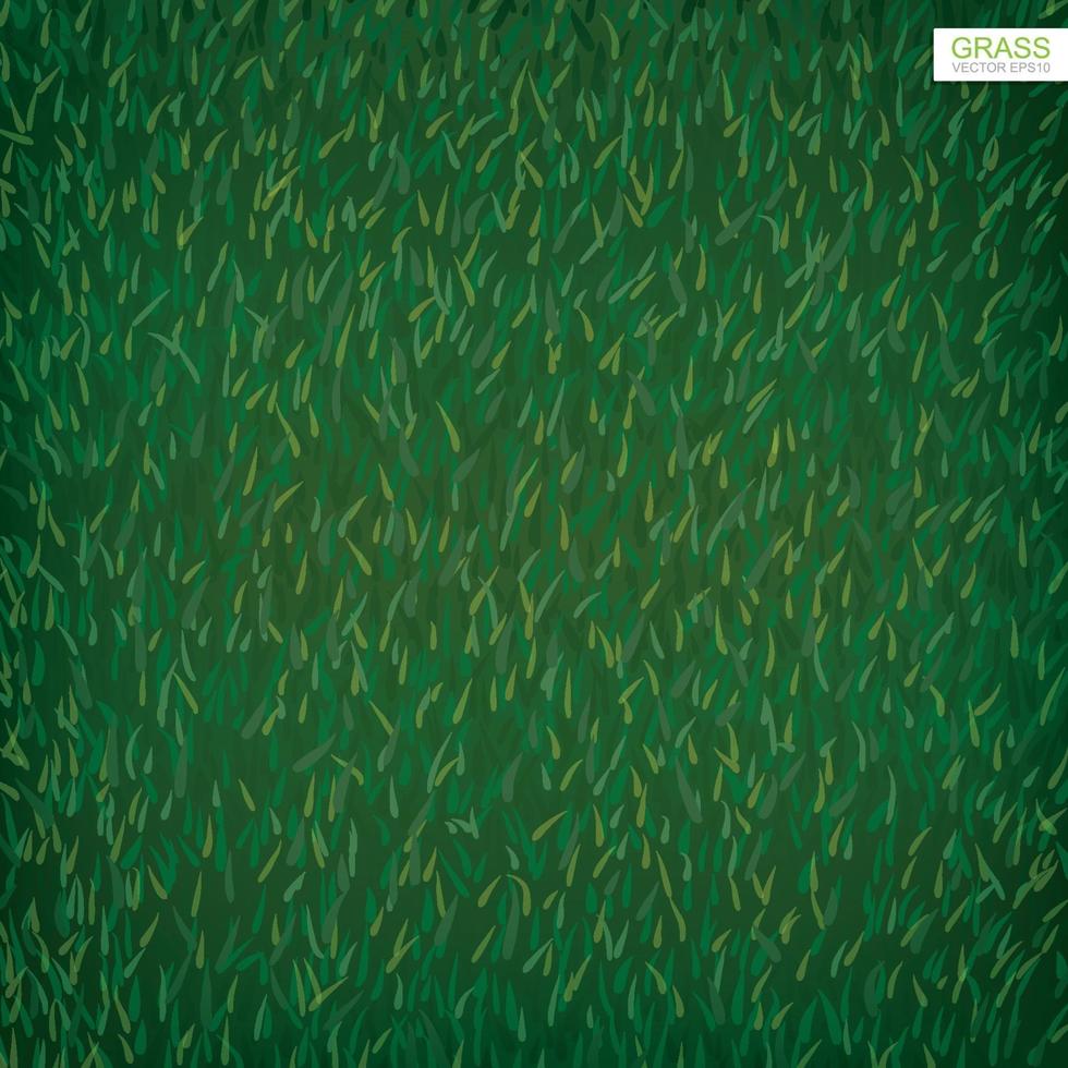 grüne Rasengrasbeschaffenheit für den Hintergrund. Vektor. vektor
