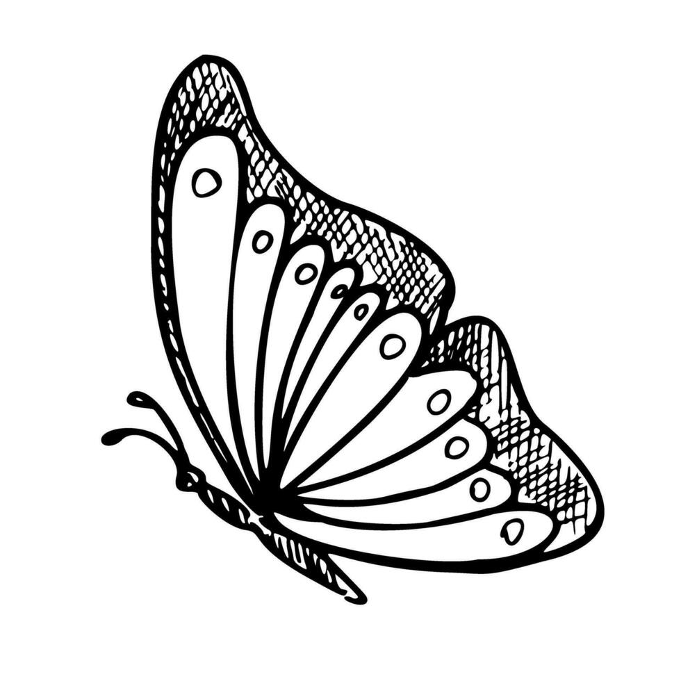 Monarch Schmetterling. Hand gezeichnet Vektor Illustration von fliegend Insekt im Linie Kunst Stil. graviert Zeichnung von elegant Tier zum feminin Gruß Karten oder Hochzeit Einladungen. Radierung zum Symbol oder Logo