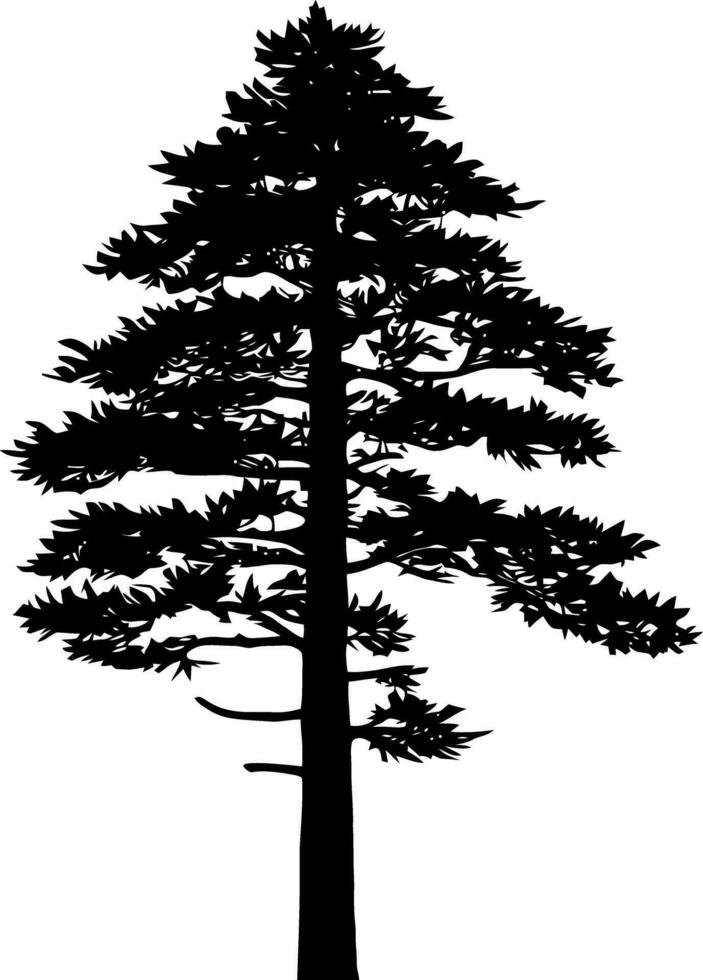 Kiefer Baum Silhouette isoliert auf Weiß Hintergrund. Vektor Illustration.