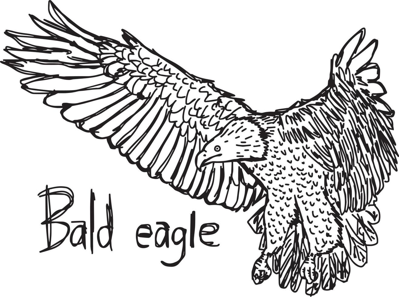 skallig örn - vektor illustration skiss handritad