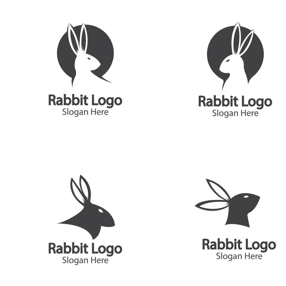 kanin logotyp och symbol vektor