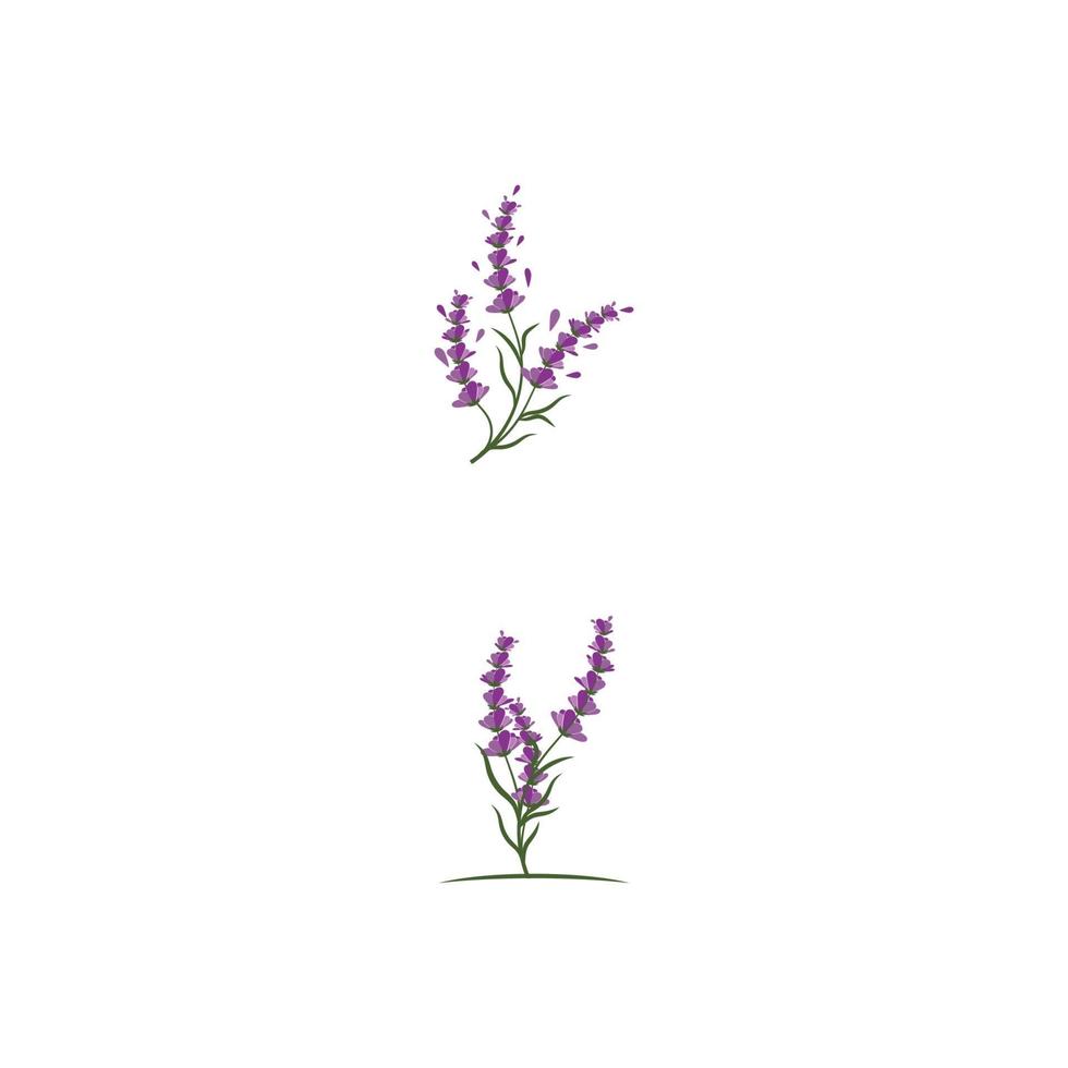 lavendel logotyp mall vektor symbol natur