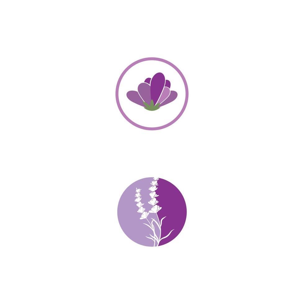 Lavendel Logo Vorlage Vektor Symbol Natur