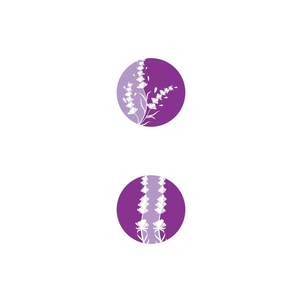 Lavendel Logo Vorlage Vektor Symbol Natur