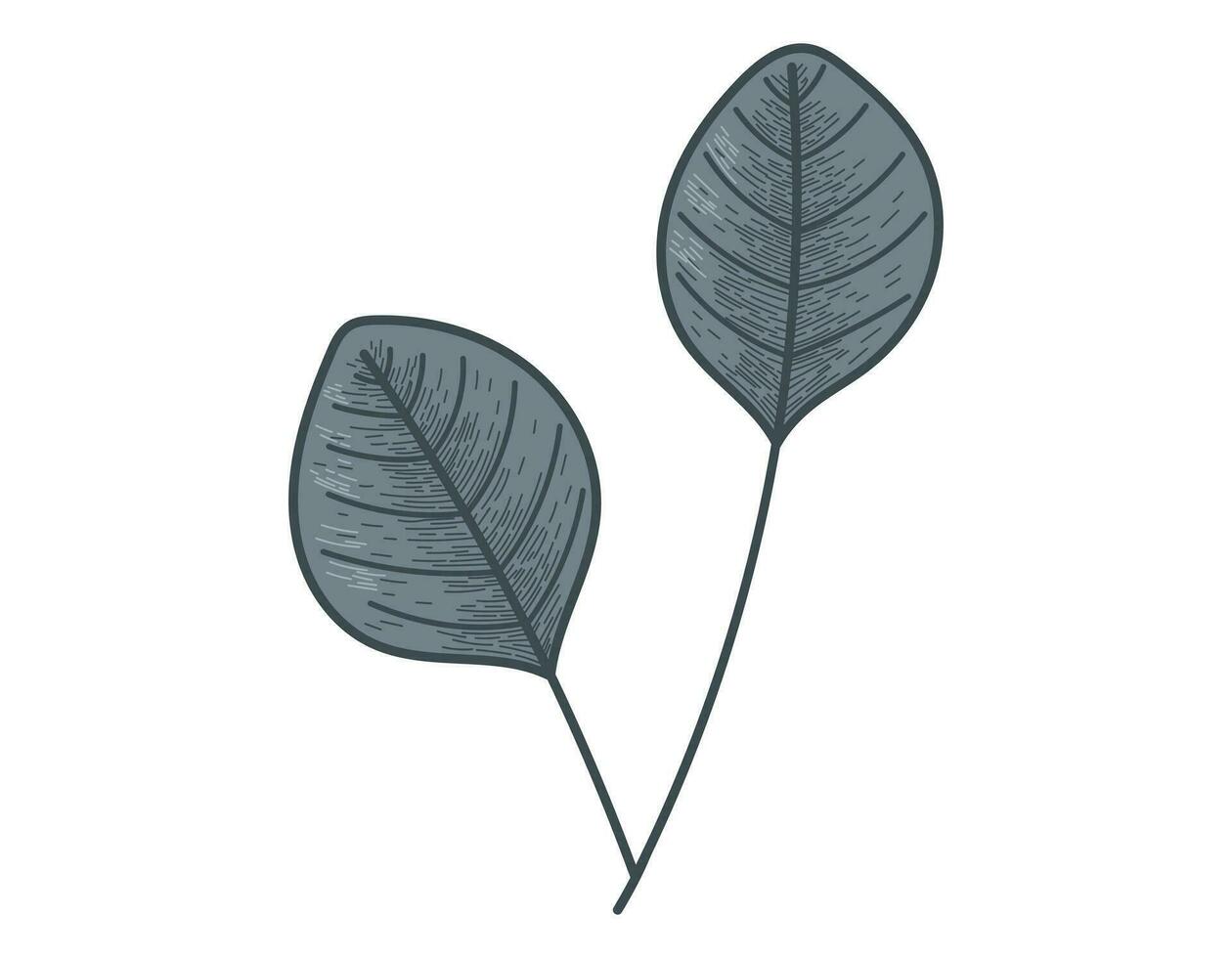 dekorativ Vektor eben Zweig mit Blätter. natürlich isoliert Pflanze Design Element, skizzieren Stil.