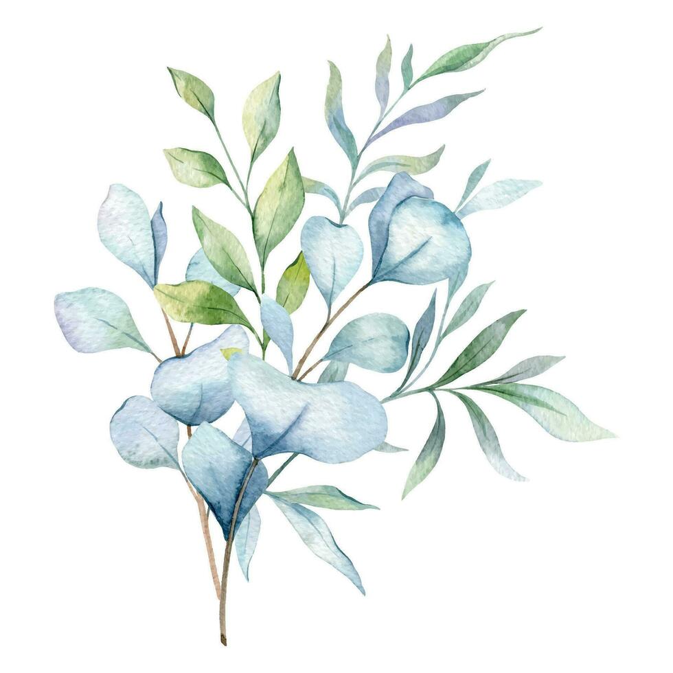 Eukalyptus Aquarell Illustration. Eukalyptus Grün Hand gemalt isoliert auf Weiß Hintergrund. perfekt zum Hochzeit Einladungen, Blumen- Etiketten, Braut- Dusche und Blumen- Gruß Karten vektor