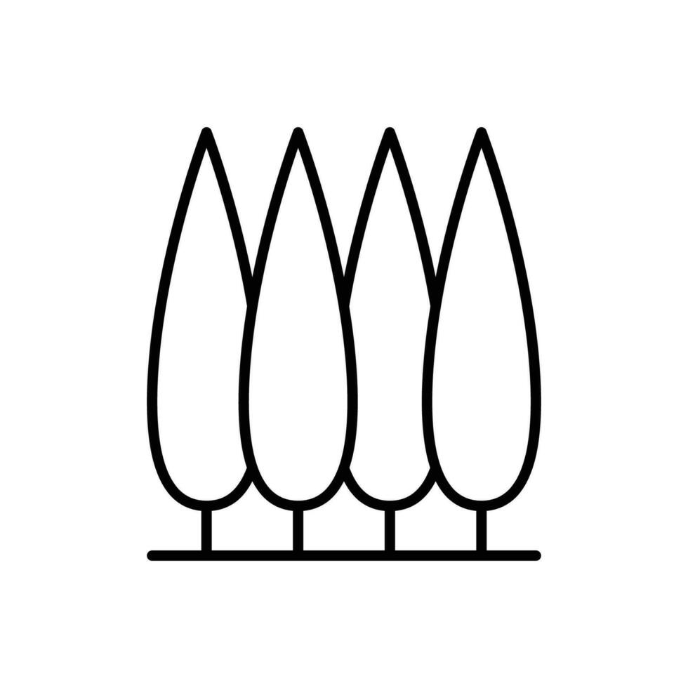 Zypresse Baum Symbol. einfach Gliederung Stil. toskana, Italien, Laub, Landschaft, Natur Konzept. dünn Linie Symbol. Vektor Illustration isoliert.