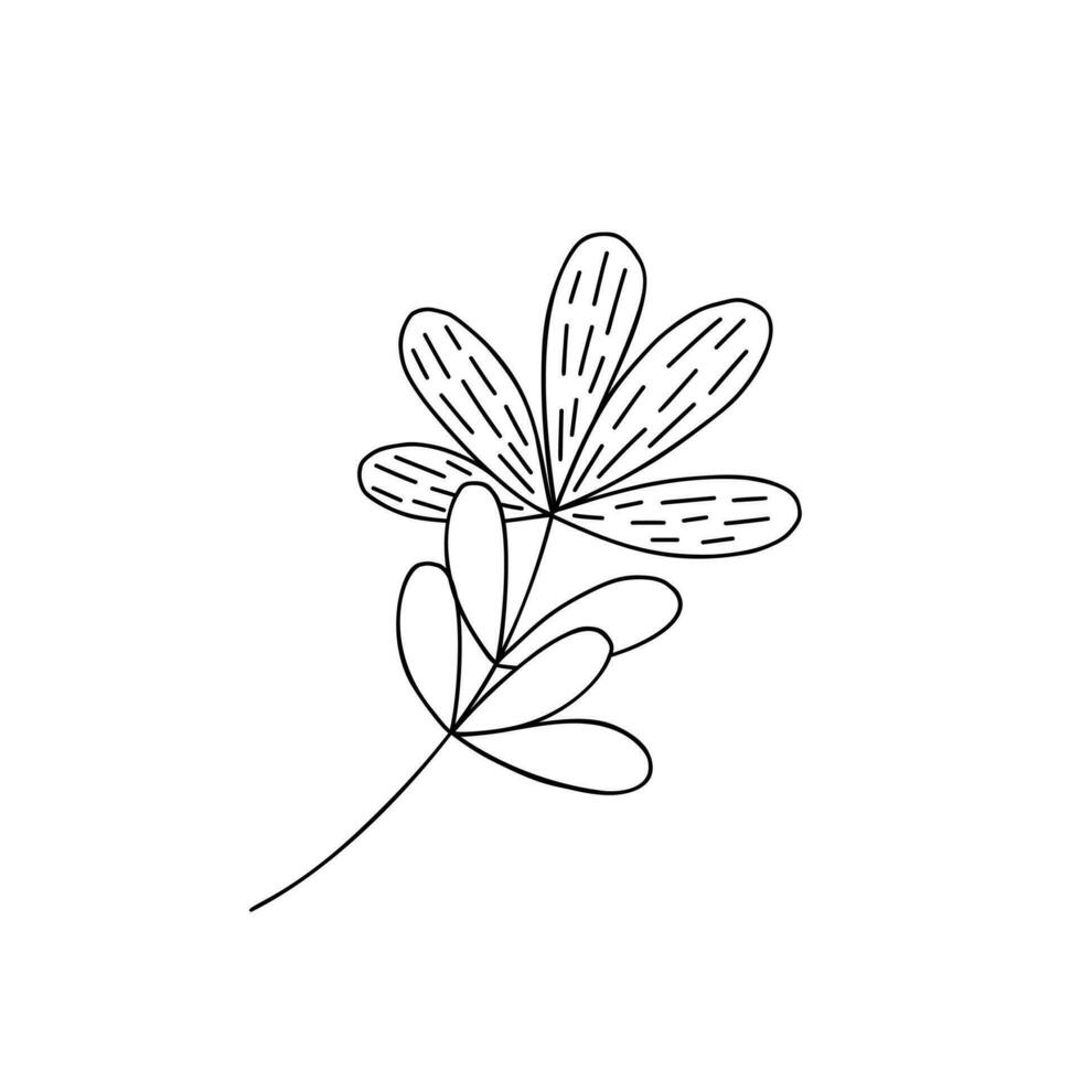 översikt växt dekorativ gren med löv för Hem dekor, tacksägelse, höst festlig Semester vektor illustration för säsong- hälsning kort, inbjudan, baner