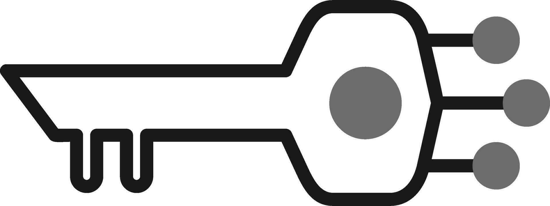 Digital Schlüssel Vektor Symbol