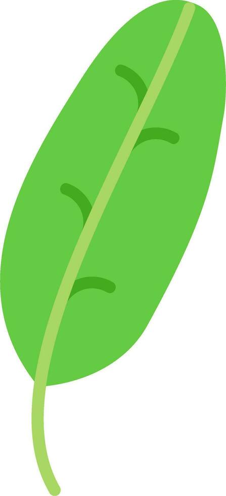 Banane Blatt Vektor Symbol