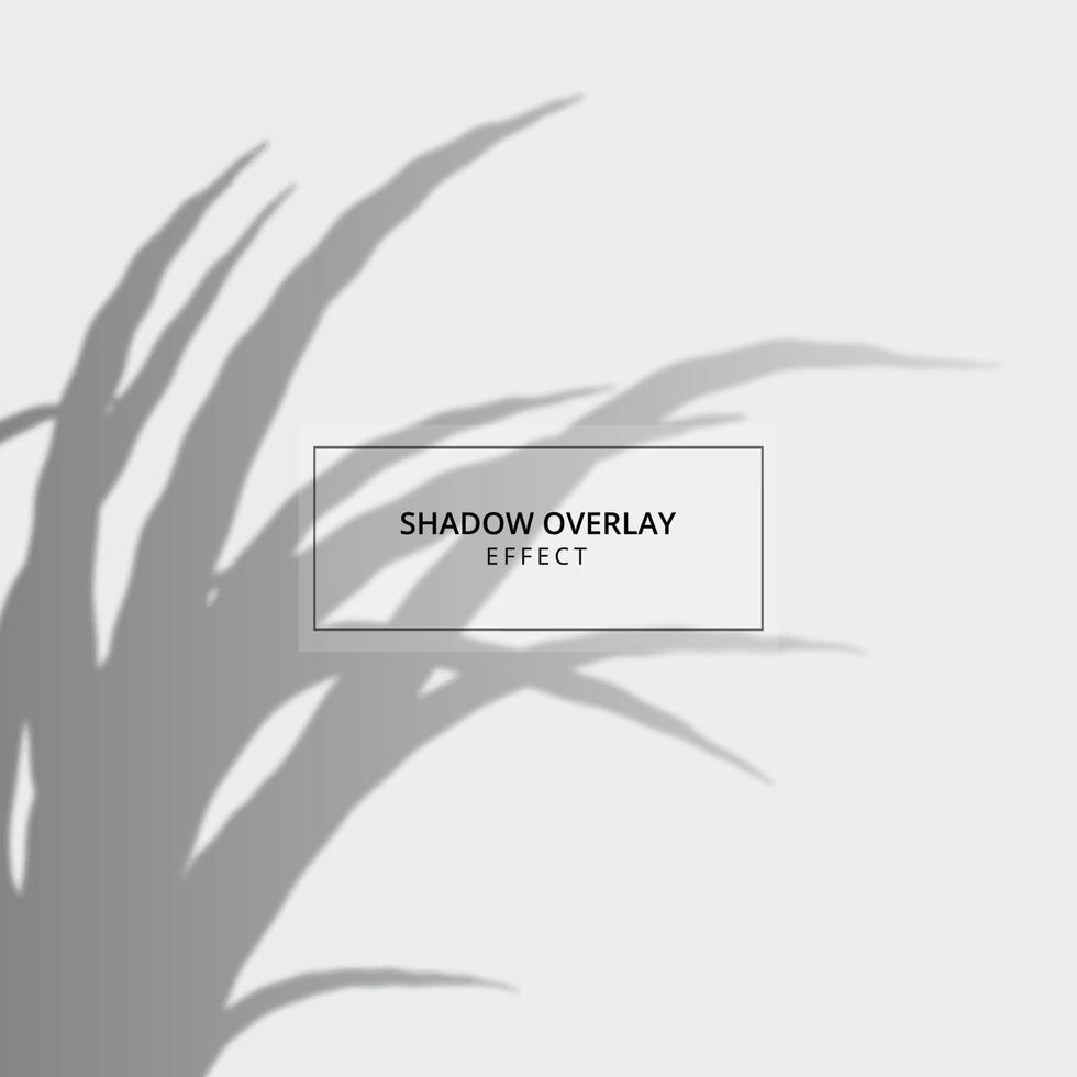 Pflanzenschatten-Overlay-Effekt auf grauem Hintergrund vektor