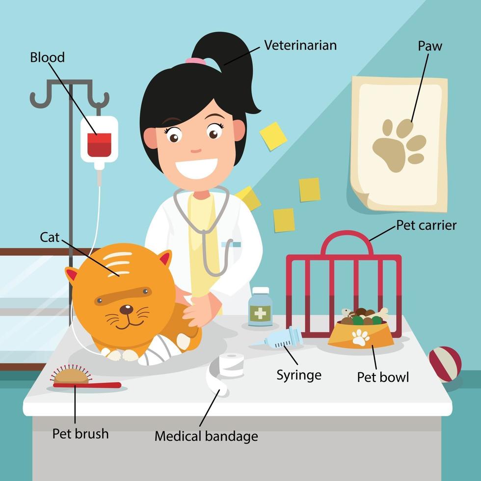 Tierärztin, die das Zahnrad heilt, mit zugehörigem Vokabularindex vektor
