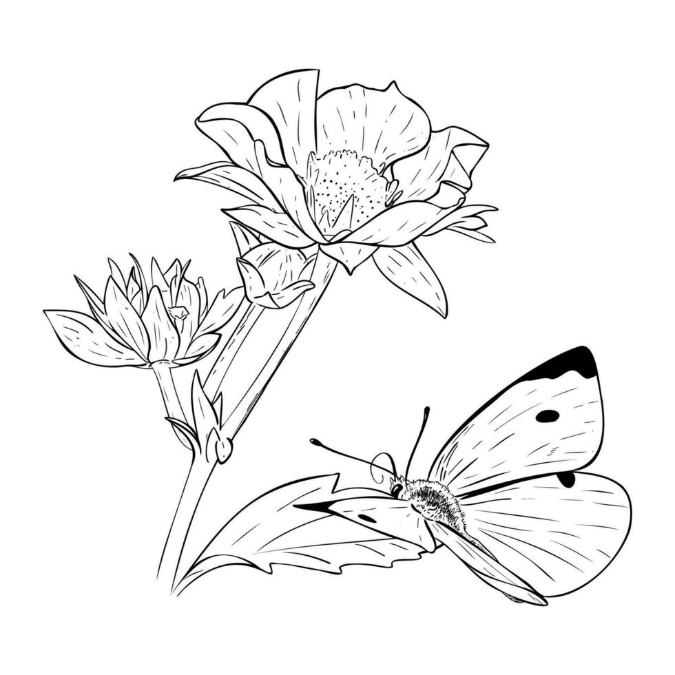 vektor illustration, jordgubb buske, blommor och löv, fjäril. linje teckning dragen förbi hand. skiss för förpackning design, etiketter, dekoration, papper material, menyer, juicer och logotyp skapande