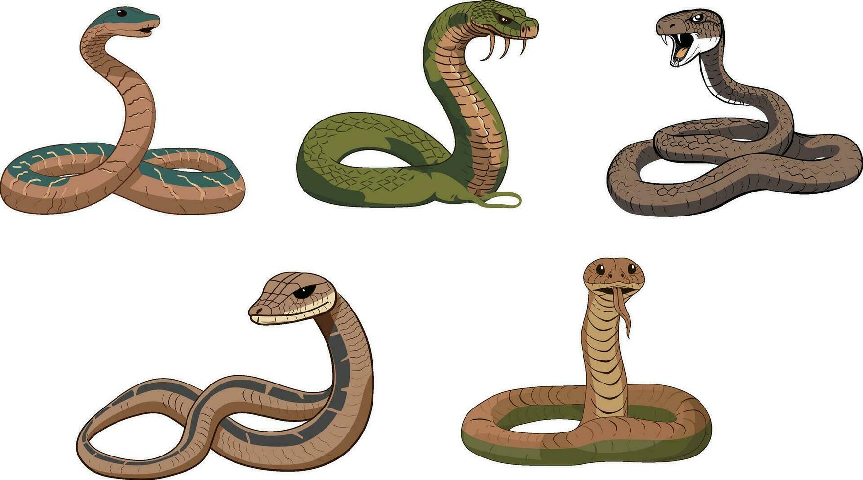 vektor ett illustration av en kobra reptil innehav dess huvud upp enkel hand dragen stil illustration