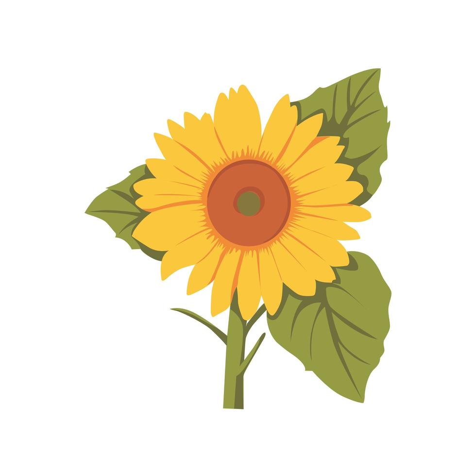 Sonnenblume Blume Farbe ClipArt Design vektor