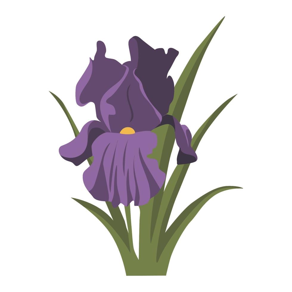 iris blomma färg clip art design vektor